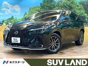 2024 LEXUS NX