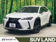 2019 LEXUS UX
