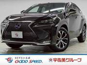2015 LEXUS NX