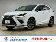 2021 LEXUS NX
