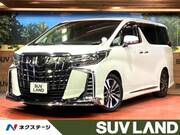 2019 TOYOTA ALPHARD
