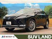 2019 LEXUS RX