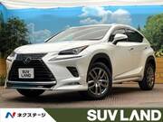 2019 LEXUS NX