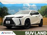 2021 LEXUS UX