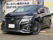 2019 NISSAN ELGRAND