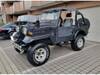 MITSUBISHI JEEP