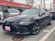 2019 LEXUS ES