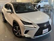 2019 LEXUS NX