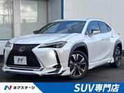 2019 LEXUS UX