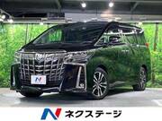 2019 TOYOTA ALPHARD