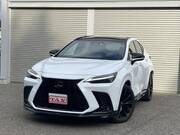 2023 LEXUS NX