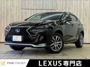 2015 LEXUS NX