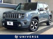 2019 CHRYSLER JEEP RENEGADE