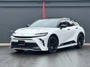 2024 TOYOTA OTHER