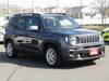 CHRYSLER JEEP RENEGADE