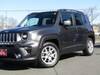 CHRYSLER JEEP RENEGADE
