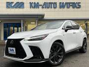2024 LEXUS NX