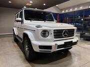 2019 MERCEDES BENZ G-CLASS