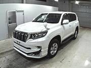 2021 TOYOTA LAND CRUISER PRADO TX