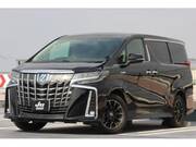 2019 TOYOTA ALPHARD HYBRID