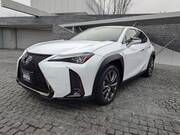 2019 LEXUS UX