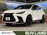 2022 LEXUS NX