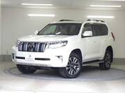 2023 TOYOTA LAND CRUISER PRADO