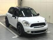 2011 OTHER MINI