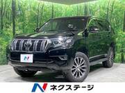 2019 TOYOTA LAND CRUISER PRADO TX