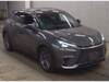 LEXUS OTHER