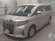 2019 TOYOTA ALPHARD HYBRID
