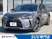 2019 LEXUS UX