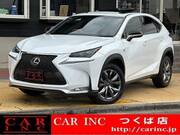 2016 LEXUS NX