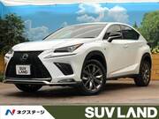 2019 LEXUS NX