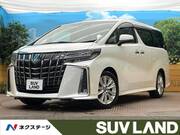 2019 TOYOTA ALPHARD 2.5S