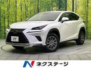 2019 LEXUS NX