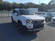 2024 TOYOTA LANDCRUISER 250