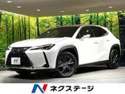 2019 LEXUS UX