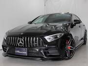 2019 MERCEDES BENZ CLS-CLASS