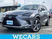 2019 LEXUS NX