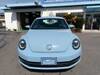 VOLKSWAGEN THE BEETLE