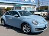 VOLKSWAGEN THE BEETLE