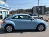 VOLKSWAGEN THE BEETLE