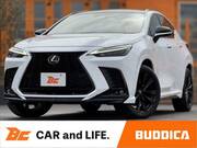 2022 LEXUS NX