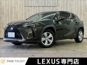 2019 LEXUS UX