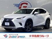 2019 LEXUS NX