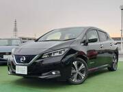 2018 NISSAN LEAF G