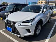 2019 LEXUS NX
