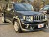 CHRYSLER JEEP RENEGADE