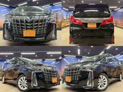2019 TOYOTA ALPHARD